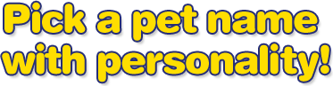 pick a pet name
